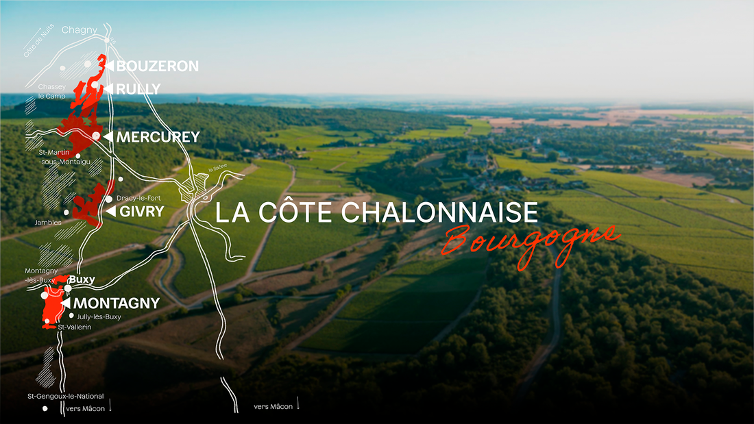 La bourgogne vibrante