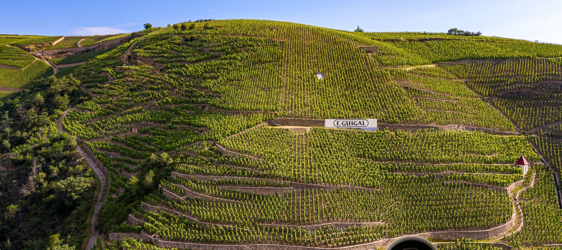 Guigal en vente sur Goodness : des grands vins pour une grande cause