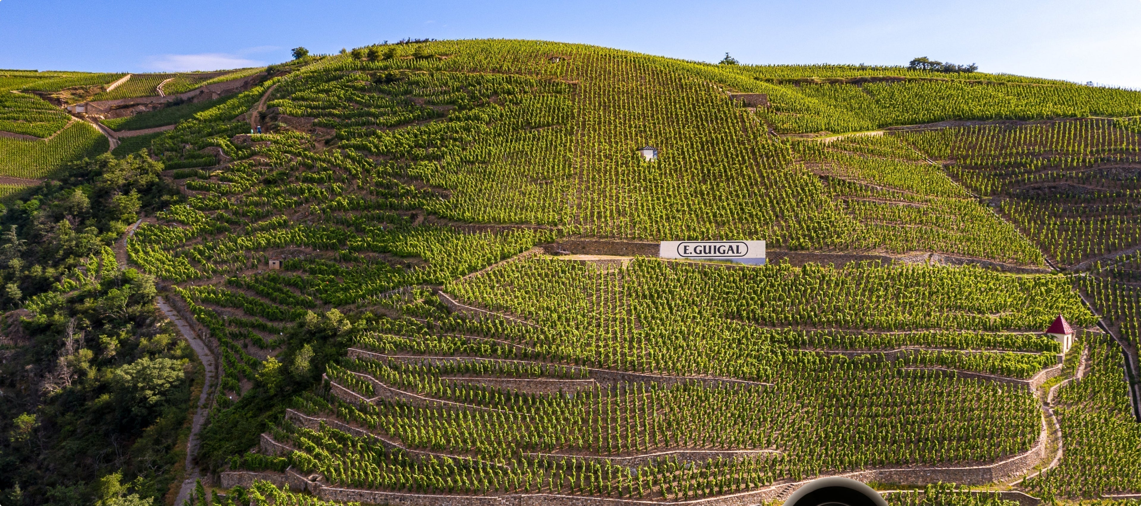 Guigal en vente sur Goodness : des grands vins pour une grande cause