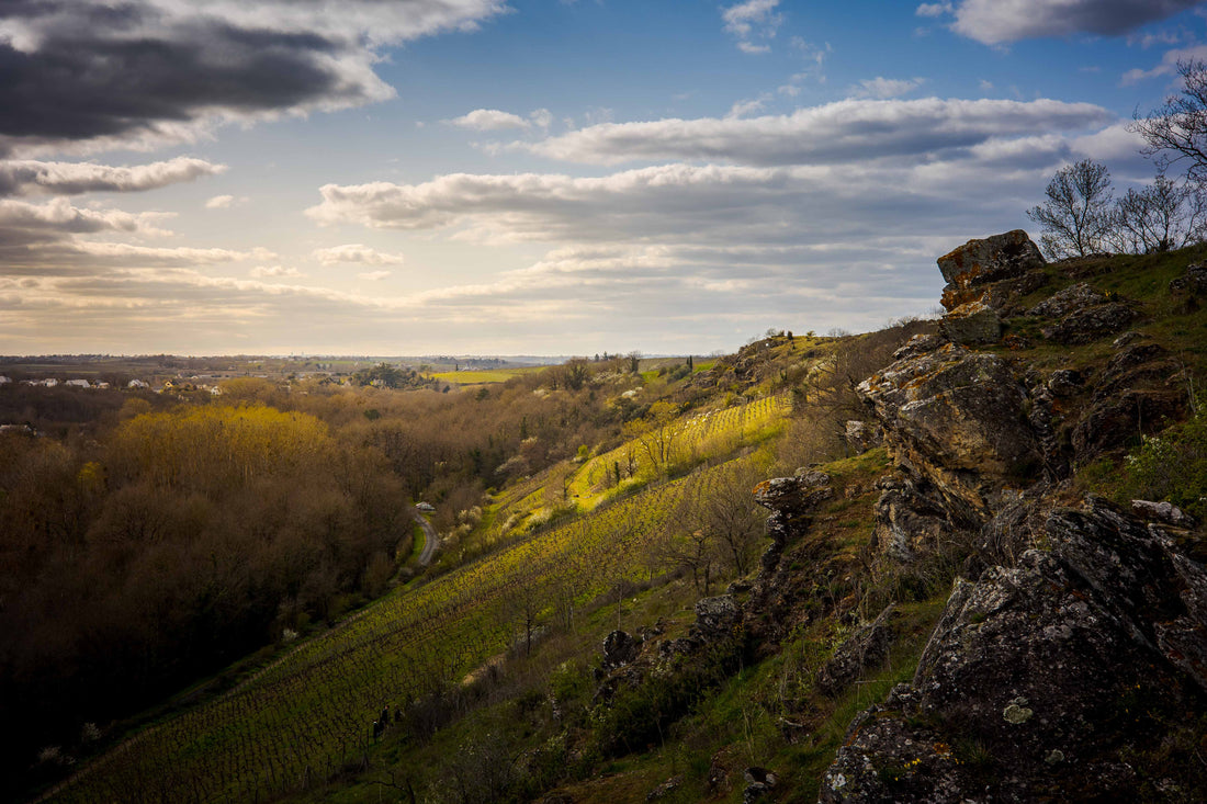 Belargus, une vente au profit de la LPO : un engagement pour la biodiversité