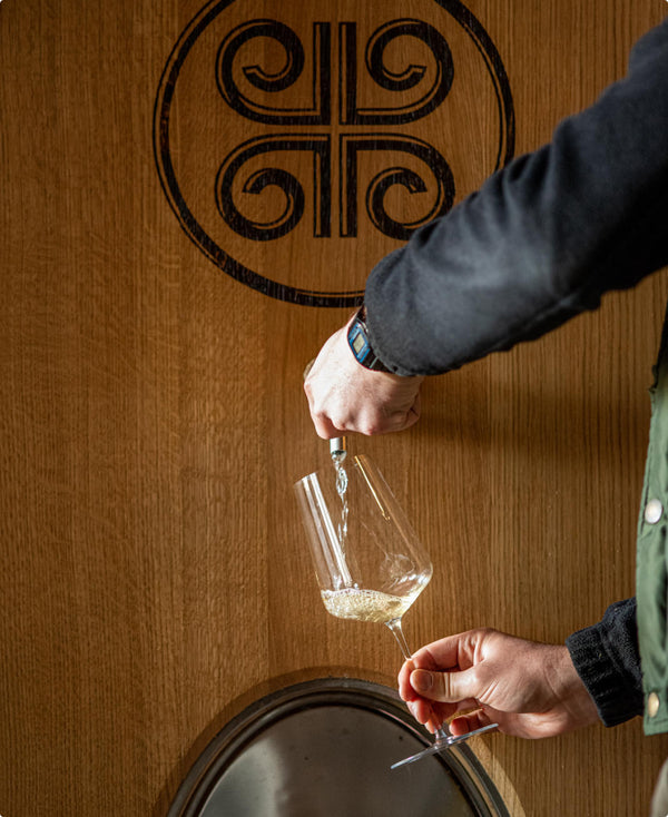 Belargus - Anjou Noir 2022 (Magnum)