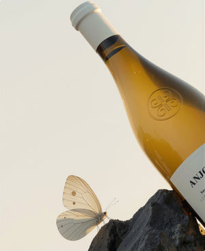 Belargus - Anjou Noir 2022 (Magnum)