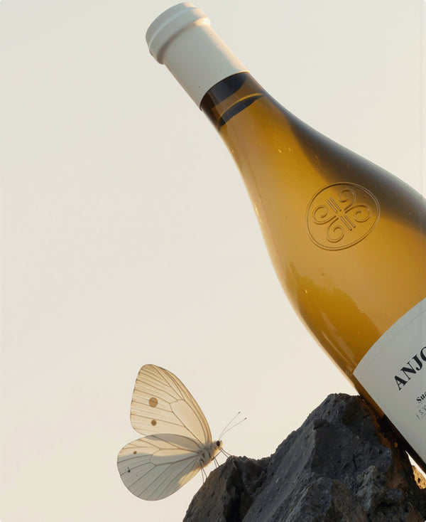 Belargus - Anjou Noir 2022 (Magnum)