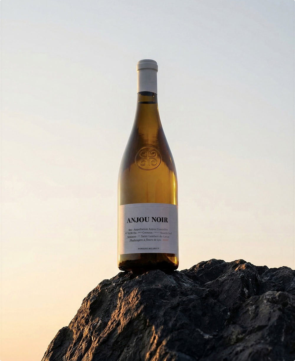 Belargus - Anjou Noir 2022 (Magnum)