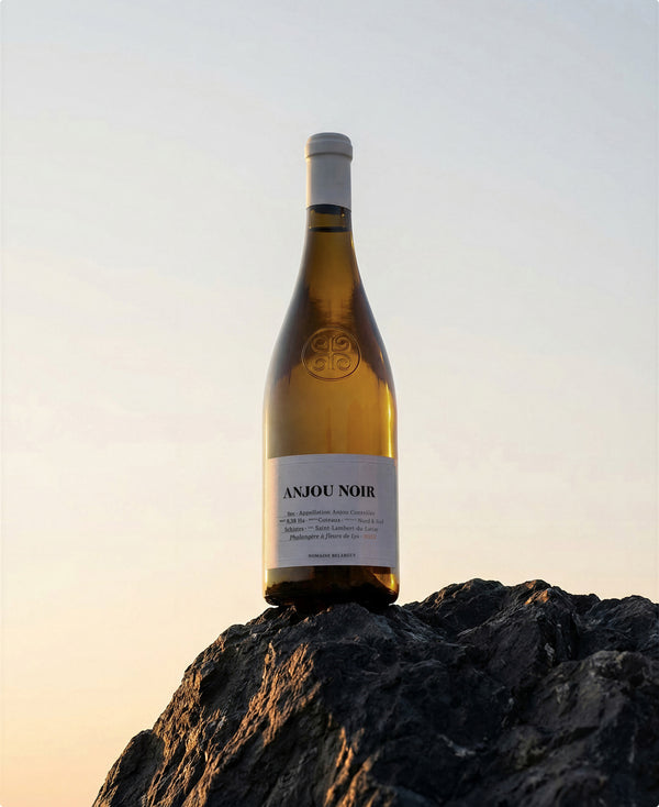 Belargus - Anjou Noir 2022 (Magnum)